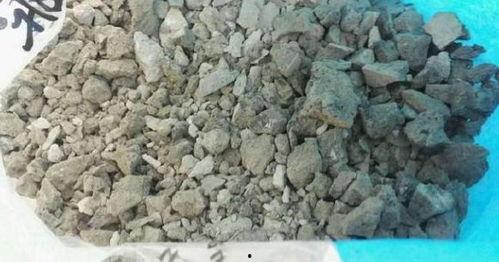 农村看兰花植料图片,探寻农村兰花种植的独特魅力