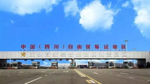 双流区龙桥新闻头条,龙桥社区焕新颜，共筑美好家园