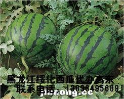 吃瓜小组007西瓜视频,吃瓜小组带你揭秘热门瓜事