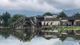 当涂新闻头条2020年,回顾年度焦点事件与重大新闻