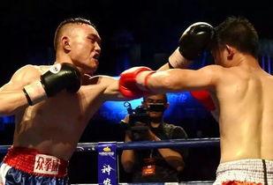 中国国内拳王吃瓜事件,中国拳坛“吃瓜”事件引发热议