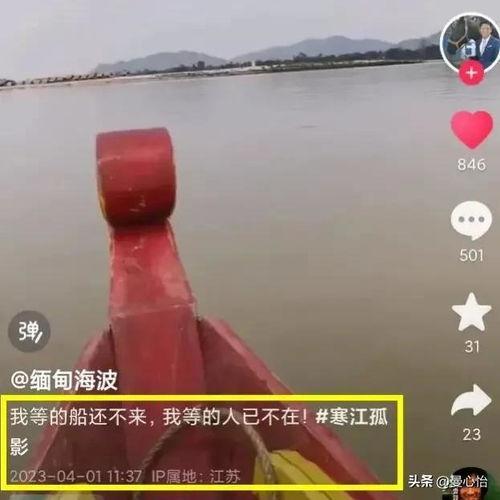 海波直播间爆料视频大全,揭秘幕后真相与精彩瞬间
