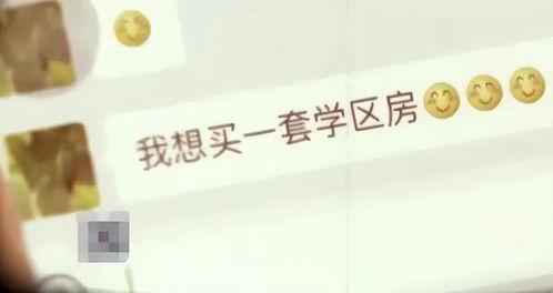 合肥刘先生爆料新闻,揭秘某事件背后惊人真相