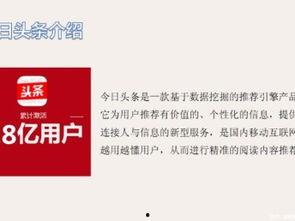 深圳头条好玩吗现在,探索鹏城新鲜事，尽享精彩生活瞬间