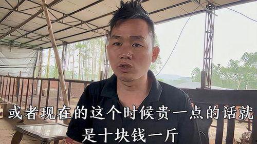 大哥老瓜皮爆料视频,揭秘幕后真相