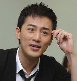 明星林峰,璀璨星辉下的影视传奇