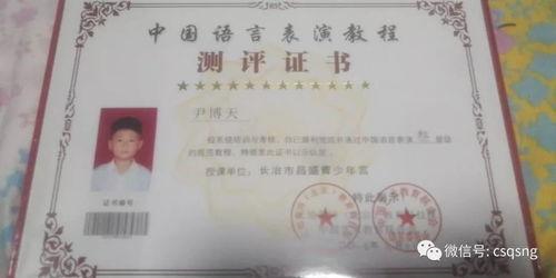 丽宫明星,璀璨星河中的璀璨明珠