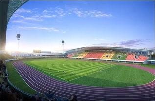 南通体育馆爆料案件最新,真相大白，疑云散去，正义终至